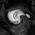 Albin (@flavio_albin) Twitter profile photo Albin (@flavio_albin) Twitter profile photo