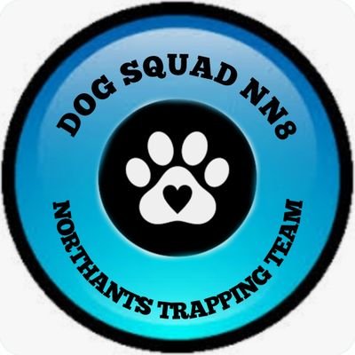 Dog Squad NN8 helping reunite local lost/found dogs and supporting local rescues #foster #adopt #educate #donate