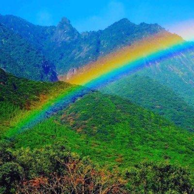 Moca1498202650's profile picture. 統合失調感情障害を10年間持ち続け、ツインレイとの統合をきっかけに消えた者です。 ツインレイ統合のち、ハイヤーセルフを通じて今日のツインレイのメッセージをおろしていきます。最近統合が完了し、霊性開花フォローお気軽に！#ツインレイ #統合 #ハイヤーセルフ #毎日投稿 #スピリチュアル #癒し#霊視#霊感タロット