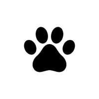 CAT (@cute_catte) 's Twitter Profile Photo
