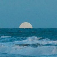 Ayşegülll (@04_ayse04) 's Twitter Profile Photo