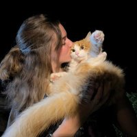 jo (@milletjota) 's Twitter Profile Photo