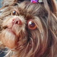 Raychel (@raychelkr) 's Twitter Profile