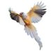 Pagla (@pagla05) Twitter profile photo Pagla (@pagla05) Twitter profile photo