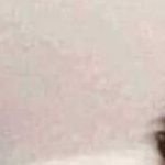 ajshsudoege8's profile picture. 