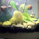 ingrid chase - @ingridchase - Twitter