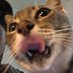 C:/Users/xhanalexander (@xhanalexander) Twitter profile photo C:/Users/xhanalexander (@xhanalexander) Twitter profile photo