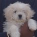 Suraj Lakshman (@lakshman_s74707) Twitter profile photo Suraj Lakshman (@lakshman_s74707) Twitter profile photo