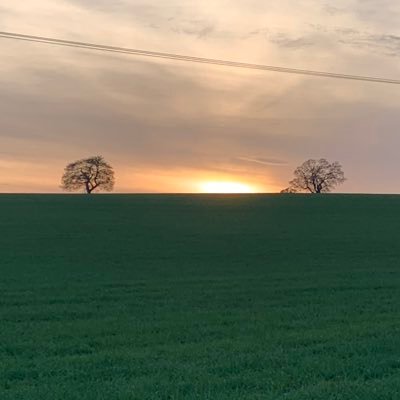 marapostmag's profile picture. Amateur but passionate environmentalist hurt by government inaction &interested in positive change.