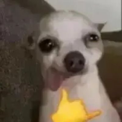 nshdbdhdxhbdhdh's profile picture. heyy