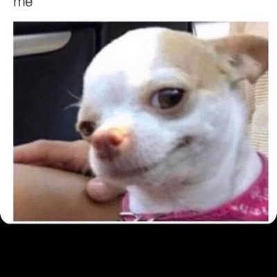 digitamer01's profile picture. 