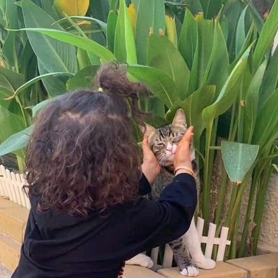 NEN0II's profile picture. وإذا الشدائدُ أقبلَت بجنُودها
والدهرُ من بَعْدِ المسرّة أوجعَك!

ارفع يديك إلى السماء ففوقها
ربٌ .. إذا ناديته ماضيَّعَك!