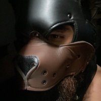 PIGDOGSP 14K! 🐽 (@pigdogsp) 's Twitter Profile