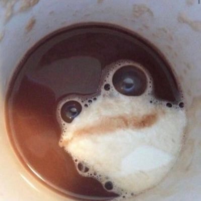Brewer12Brewer's profile picture. I love life, God (Jesus), America, video games, food bearing plants, movies, home repairs/improvements, little caesars pizza. Liberals = Pooh