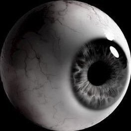 berrybbyyy's profile picture. cats