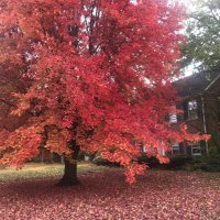 Fanny Price (@aprilelisabeth2) 's Twitter Profile