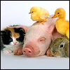 Just refound twitter.  Gimme a little while...