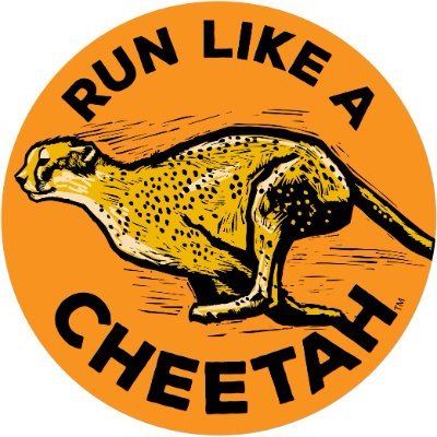 RUN LIKE A CHEETAH is a nonprofit that is working with kids in Chicago to help kids feel better about themselves through the sport of running.