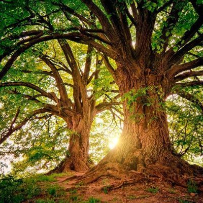 Cecilia150889's profile picture. 