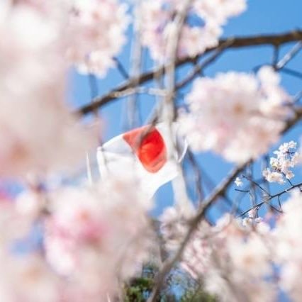 aberitsukodesu's profile picture. Twitterはじめてみました🔰
不慣れゆえの失礼があったらお許しくださいませ。無言フォロー、突然のコメント失礼します。
無言フォロー歓迎です。奈良住みです。安倍元首相と最後に握手したことが忘れられません。
日本大好きです。主に情報収集アカです🍀😊
変なDMは即24します💦