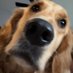 Ryder Clouse (@clouseryder) Twitter profile photo Ryder Clouse (@clouseryder) Twitter profile photo