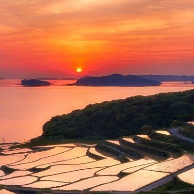 Xape814474's profile picture. 