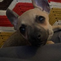 Remington Santiago (@one_ways_rem) 's Twitter Profile