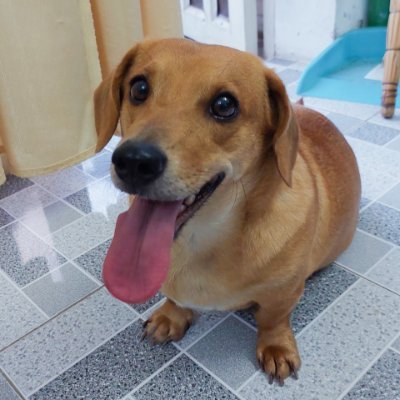 TamTran21580551's profile picture. Projects I'm farming: https://t.co/bYzllzDio6