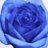 BluBlurose11