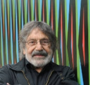 Carlos Cruz-Diez