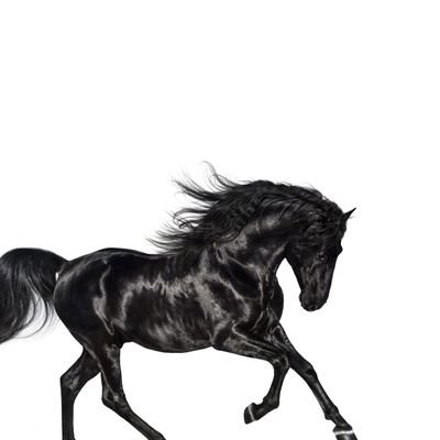 susanjo09879332's profile picture. Exceptionally tailored bespoke made in Nagira & world-wide 🇺🇲