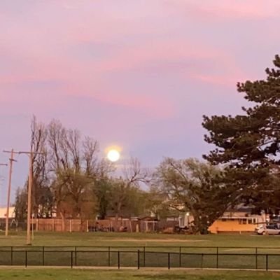 thatbishhhh420's profile picture. that hoe
187