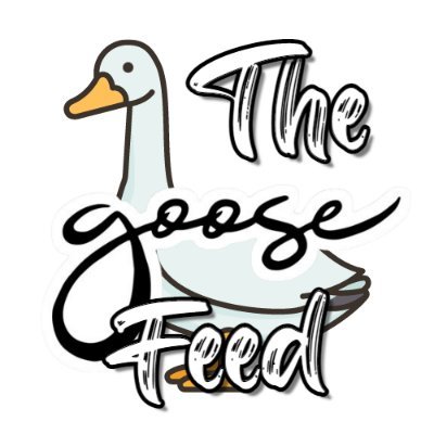 🦢️ All News, Setlists, Merch, Tours, & More for Goose The Band! 🦢️