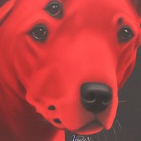 RedDog 4π§πΊπΈπ¦
π³οΈβππ³οΈββ§οΈ (@chrislo84713555) 's Twitter Profile
