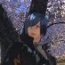 Arblade shares (@arblade_ff14) Twitter profile photo Arblade shares (@arblade_ff14) Twitter profile photo