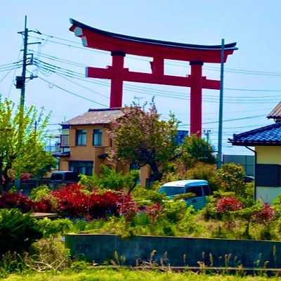 xianren202305's profile picture. 日本游，梦中游，梦里欢笑梦里愁，梦里岁月梦里流。