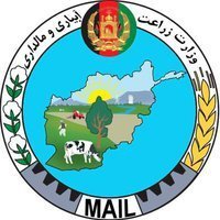 MAIL - Afghanistan (@mailafgh) 's Twitter Profile