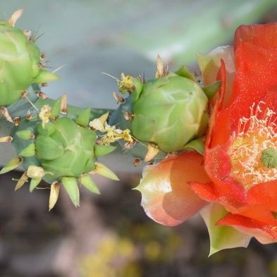 CasinomamaAP's profile picture. West Coast AP Life