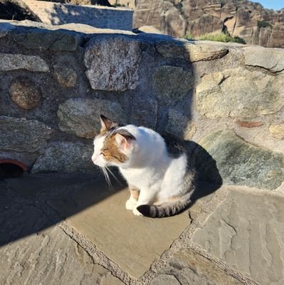 iAMurTovarish's profile picture. 