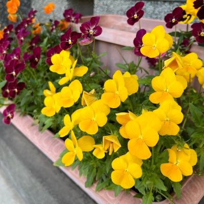 7hg31cqnFoAoOYQ's profile picture. 