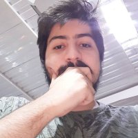 Nieri / Werah (@guarnieri_p) 's Twitter Profile