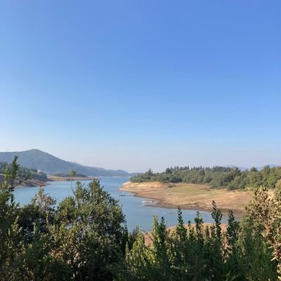 toxxnyxxt's profile picture. 