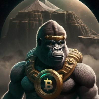 Timeless_Crypto Profile Picture