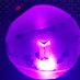 ᴮᴱQ-Mina⁷-ᴾʳᵒᵒᶠ🦋🧈ᴾᵀᴰ💜🐙 (@qmina9) Twitter profile photo ᴮᴱQ-Mina⁷-ᴾʳᵒᵒᶠ🦋🧈ᴾᵀᴰ💜🐙 (@qmina9) Twitter profile photo