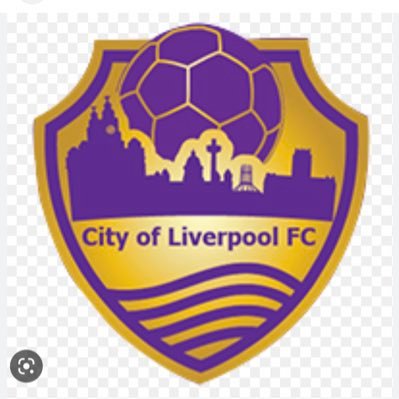 COLFC U14’s playing in the Bootle JFL 21/22 22/23 premium league champions 🏆🏆 #UPTHEPURPS