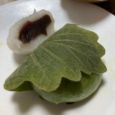 #駅メモ献血部 架空鉄道のダイヤ作成/実在鉄道の乗り鉄/アザラシと巡る食の旅/男声合唱団 @Chor_Barkarole