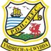 Pembroke Dock Harlequins RFC (@PembrokeDHRFC) Twitter profile photo