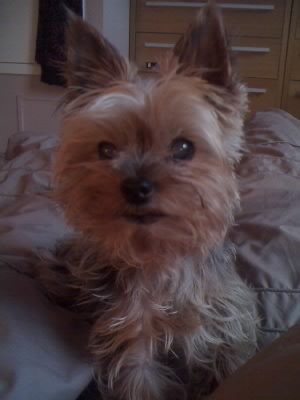 Loujasmin's profile picture. 