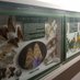 Museu de les Papallones de Catalunya (@museupapallones) Twitter profile photo Museu de les Papallones de Catalunya (@museupapallones) Twitter profile photo