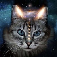 Astral Crypto Cat 🐈(@astralcryptocat) 's Twitter Profileg